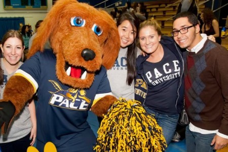 Đại Học Pace - Top 5 tại Mỹ về chương trình thực tập cho sinh viên